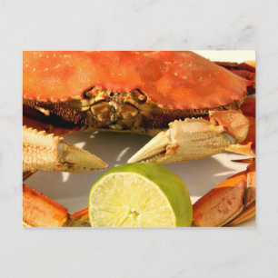 Tarjeta postal para la invitación a la fiesta de c