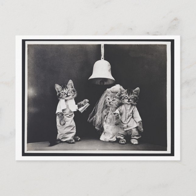 Tarjeta postal para la odontología de época del Bo (Anverso)