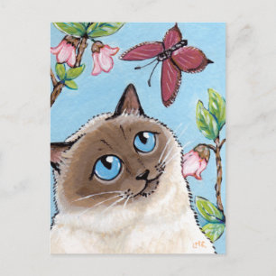 Tarjeta postal para la pintura de gatos y mariposa