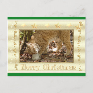 Tarjeta postal para Navidades Bobcat