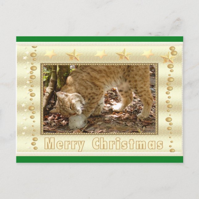 Tarjeta postal para Navidades Bobcat (Anverso)