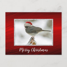 Tarjeta postal para Navidades de fotografía de Cut