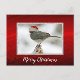 Tarjeta postal para Navidades de fotografía de Cut