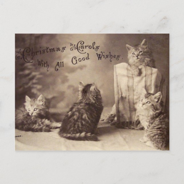 Tarjeta postal para Navidades de gatos de época (Anverso)