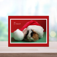 Tarjeta postal para Navidades de Guay Guinea