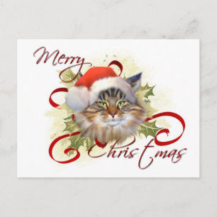 Tarjeta postal para Navidades del gato Maine Coon