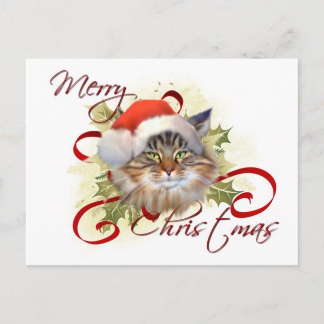 Tarjeta postal para Navidades del gato Maine Coon (Anverso)