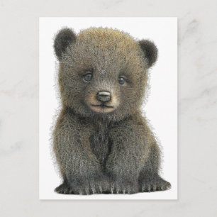 TARJETA POSTAL PARA oso pardo bebé