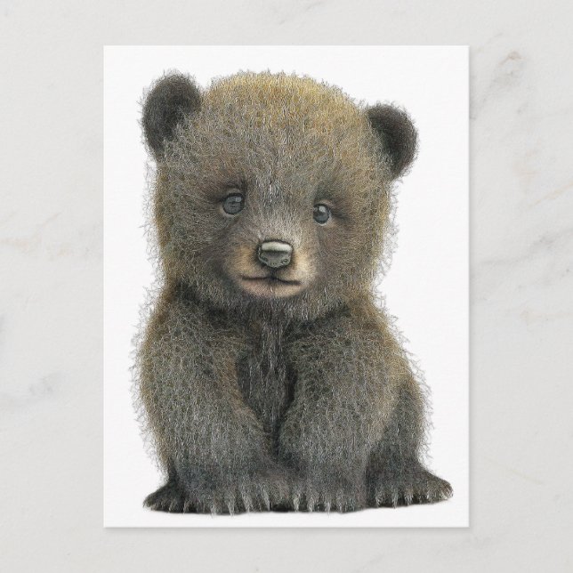 TARJETA POSTAL PARA oso pardo bebé (Anverso)