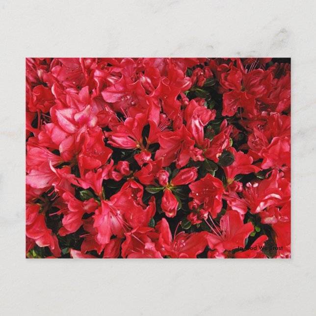 Tarjeta postal para viajes 5 (Anverso)