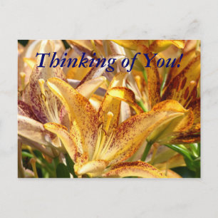 Tarjeta postal ¡Pensando en Ti! Flores de Lirio Na