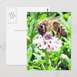Tarjeta postal - Perfil de abeja melífera