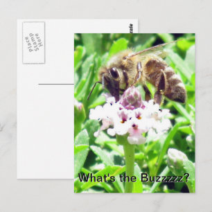 Tarjeta postal - Perfil de abeja melífera