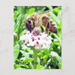 Tarjeta postal - Perfil de abeja melífera