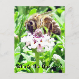 Tarjeta postal - Perfil de abeja melífera