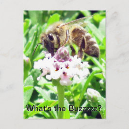 Tarjeta postal - Perfil de abeja melífera