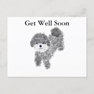 Tarjeta Postal Perro Poodle Gris Enfermo #1