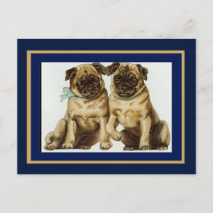 Tarjeta Postal Perros Pug Vintage