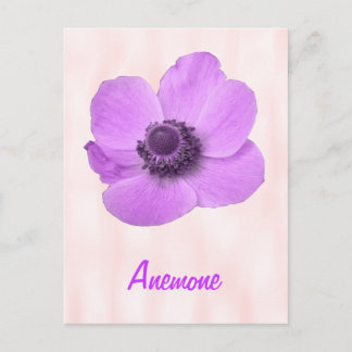 Tarjeta postal personalizable de anemone rosa feme