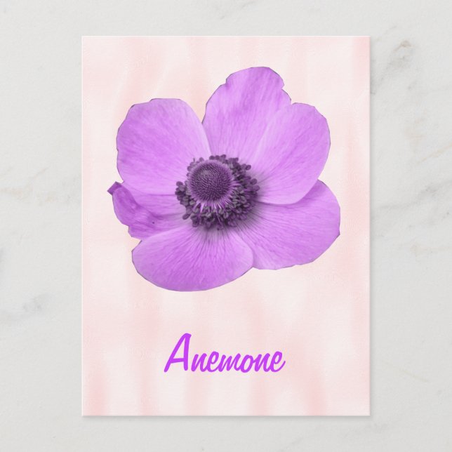 Tarjeta postal personalizable de anemone rosa feme (Anverso)