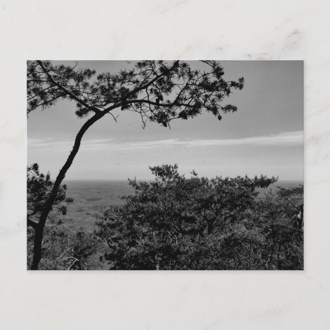 Tarjeta Postal Personalizable Paisaje Natural (Anverso)