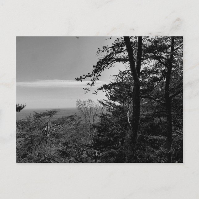 Tarjeta postal personalizada con fotografía en bla (Anverso)