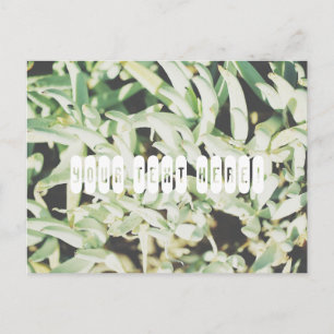 Tarjeta postal personalizada con plantas verdes pá