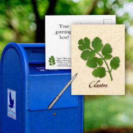 Tarjeta postal personalizada de cilantro