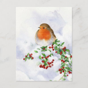 Tarjeta postal - Petirrojo de Navidad