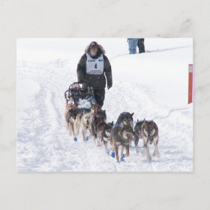 Tarjeta postal PIcture Perfect 2009 UP 200
