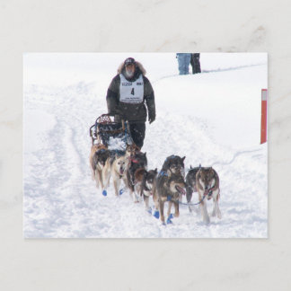 Tarjeta postal PIcture Perfect 2009 UP 200