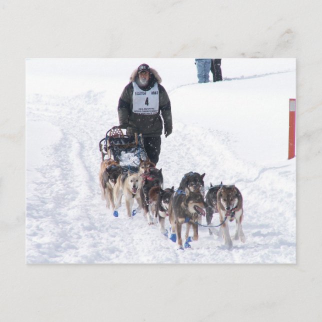 Tarjeta postal PIcture Perfect 2009 UP 200 (Anverso)