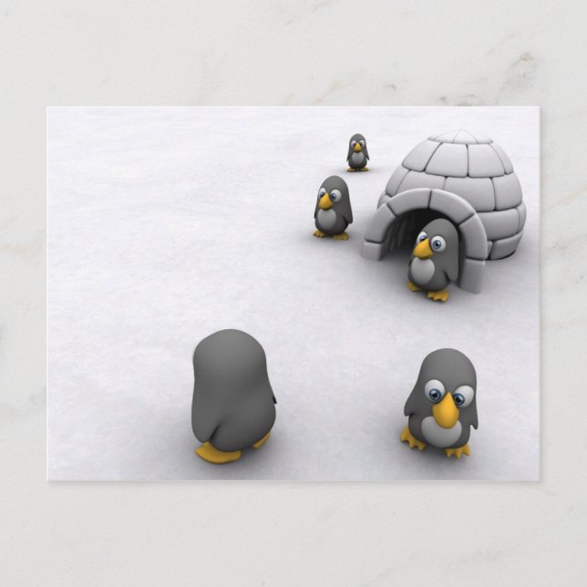 Tarjeta postal pingüino (Anverso)