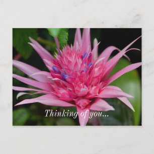 Tarjeta postal Pink Beauty Pensando en Ti