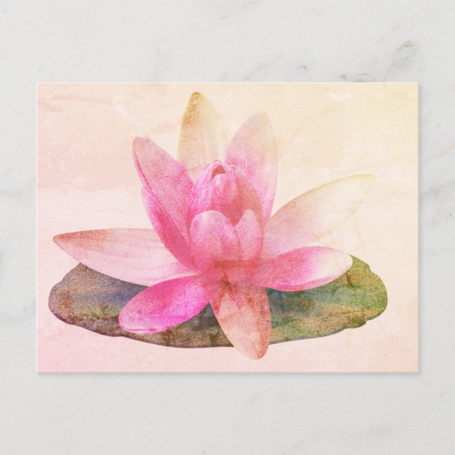 TARJETA POSTAL PINK LOTUS (Anverso)