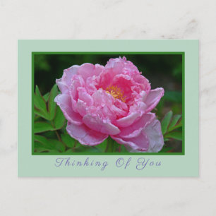TARJETA POSTAL "PINK PEONY/THINKING OF YOU"