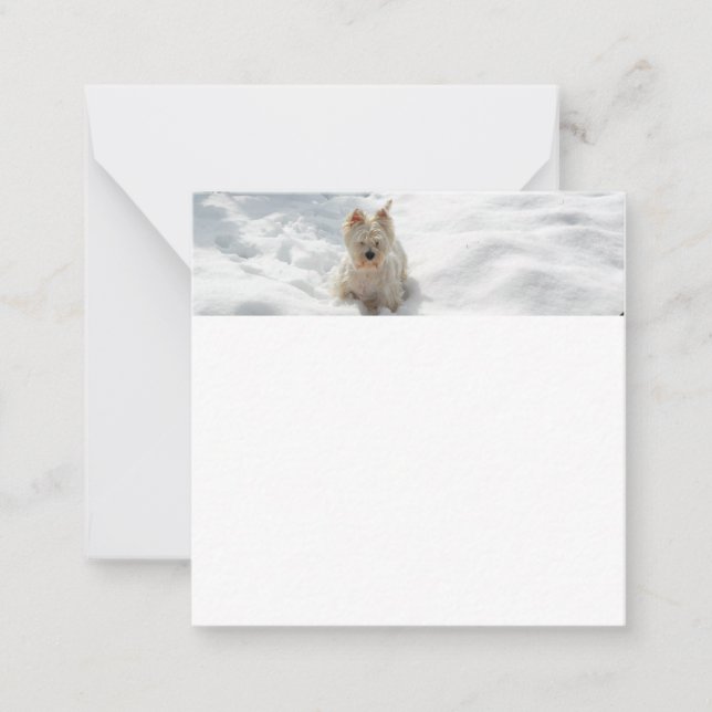 Tarjeta postal plana con foto de perro Westie Snow (Anverso)