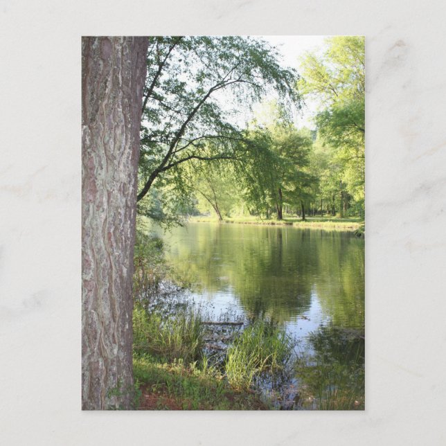 Tarjeta postal "Primavera en el este de Tennessee" (Anverso)