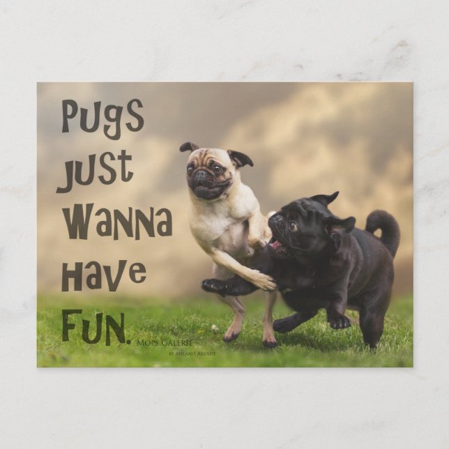 Tarjeta postal “Pugs justamente wanna have fun " (Anverso)