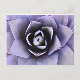 Tarjeta postal Purple Agave