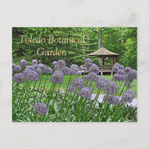 TARJETA POSTAL, "PURPLE ALLIUM & GAZEBO" TOLEDO BO