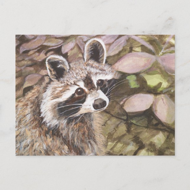 Tarjeta postal Raccoon (Anverso)