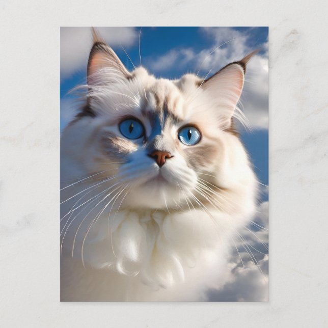 Tarjeta postal Ragdoll Cat (Anverso)