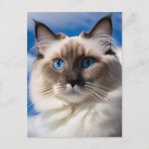 Tarjeta postal Ragdoll Cat