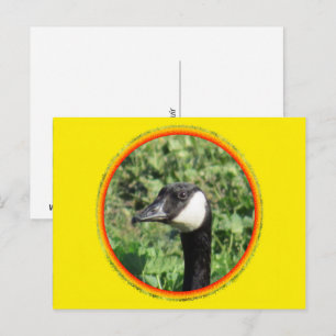 Tarjeta postal - Retrato de ganso