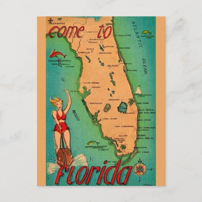 Tarjeta postal retro de Florida  (Anverso)