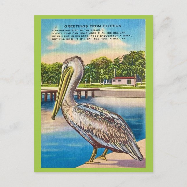 Tarjeta postal retro de Florida  (Anverso)