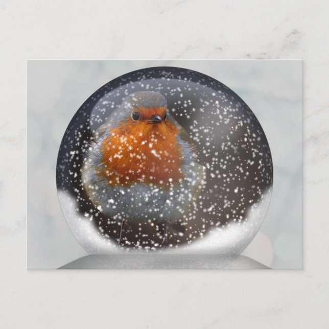 Tarjeta postal Robin Snowglobe (Anverso)
