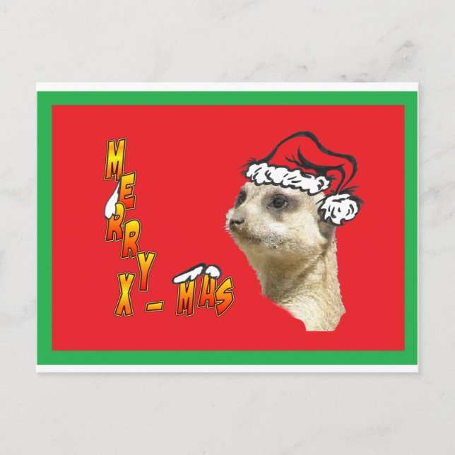 Tarjeta postal roja Meerkat para navidades (Anverso)