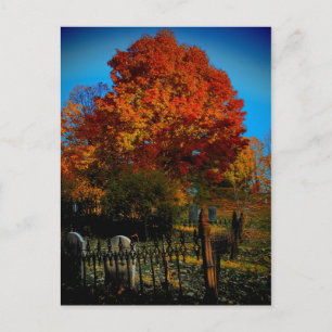 Tarjeta postal roja para siempre